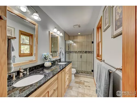 771 Roland Dr, Bailey, CO 80421 photo 21