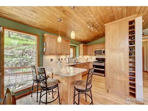 771 Roland Dr, Bailey, CO 80421 photo 19