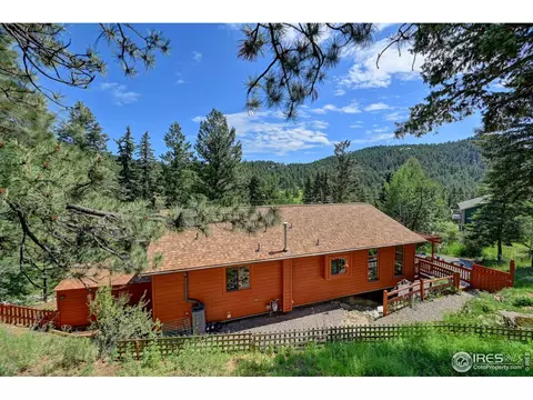 771 Roland Dr, Bailey, CO 80421 photo 34