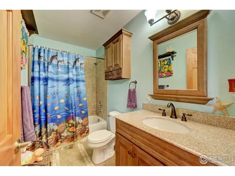 771 Roland Dr, Bailey, CO 80421 photo 17