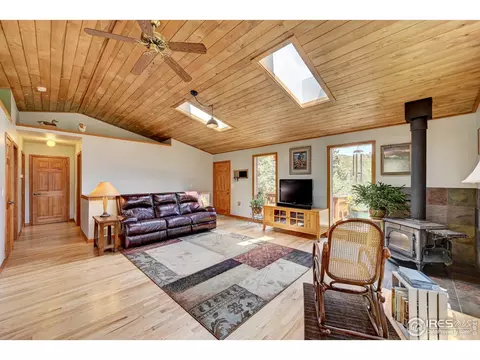 771 Roland Dr, Bailey, CO 80421 photo 7