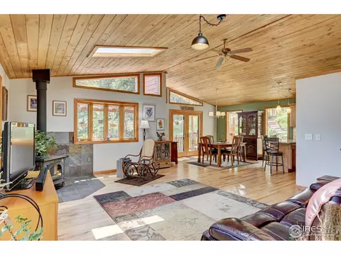 771 Roland Dr, Bailey, CO 80421 photo 6