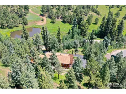 771 Roland Dr, Bailey, CO 80421 photo 38