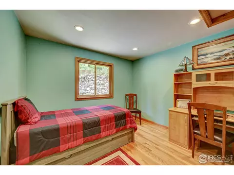 771 Roland Dr, Bailey, CO 80421 photo 27