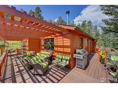 771 Roland Dr, Bailey, CO 80421 photo 4