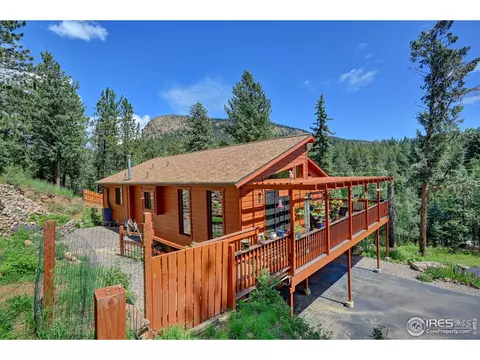 771 Roland Dr, Bailey, CO 80421 photo 1