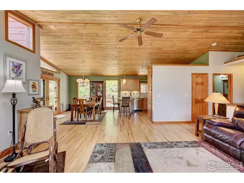771 Roland Dr, Bailey, CO 80421 photo 12