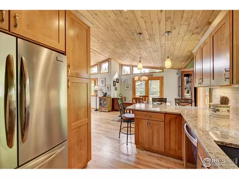 771 Roland Dr, Bailey, CO 80421 photo 14