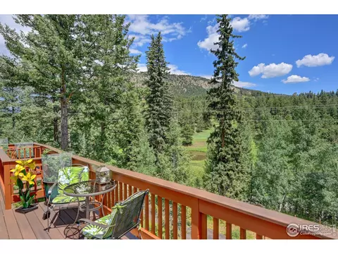 771 Roland Dr, Bailey, CO 80421 photo 8