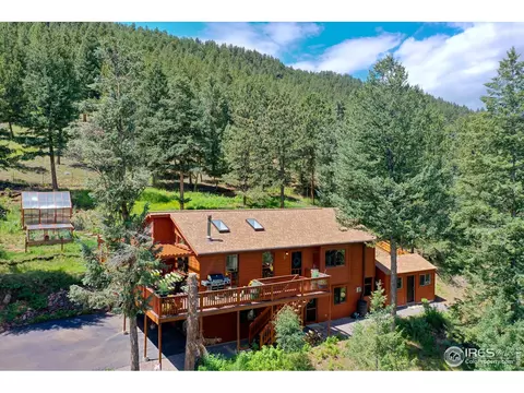 771 Roland Dr, Bailey, CO 80421 photo 37