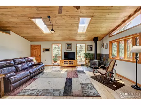 771 Roland Dr, Bailey, CO 80421 photo 15