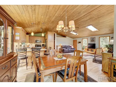 771 Roland Dr, Bailey, CO 80421 photo 11