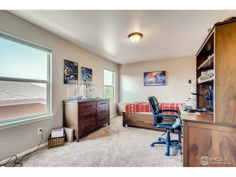 5990 Graphite St, Timnath, CO 80547 photo 24