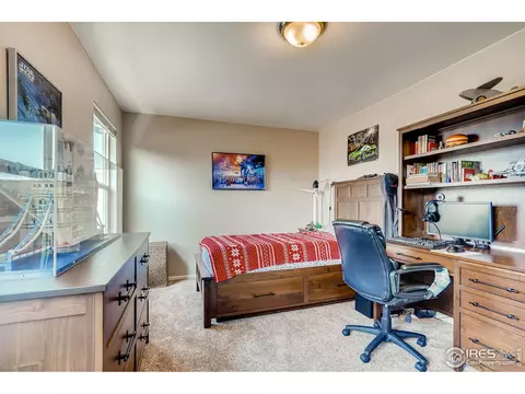 5990 Graphite St, Timnath, CO 80547 photo 21