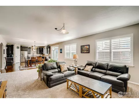 5990 Graphite St, Timnath, CO 80547 photo 14