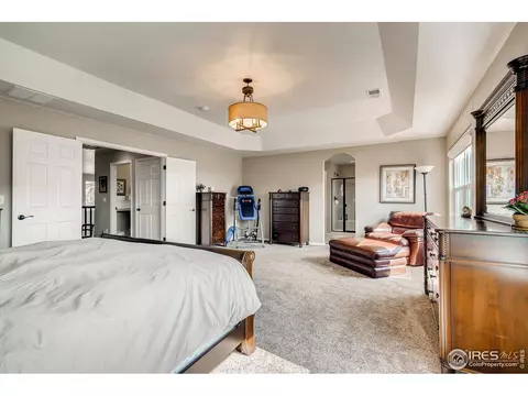 5990 Graphite St, Timnath, CO 80547 photo 18