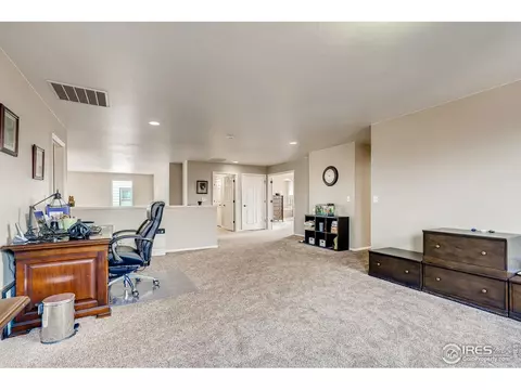 5990 Graphite St, Timnath, CO 80547 photo 36
