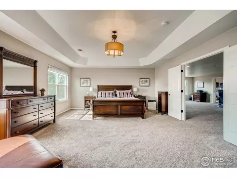5990 Graphite St, Timnath, CO 80547 photo 19