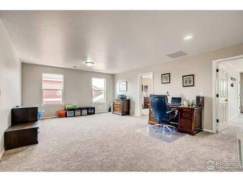 5990 Graphite St, Timnath, CO 80547 photo 30