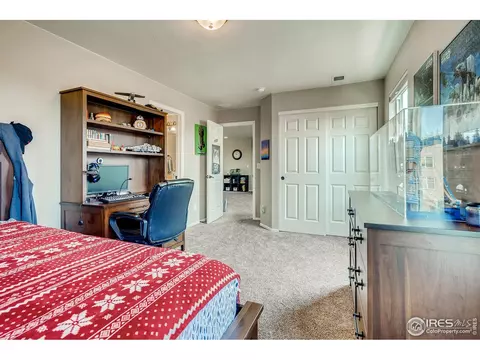 5990 Graphite St, Timnath, CO 80547 photo 23
