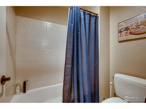 5990 Graphite St, Timnath, CO 80547 photo 34