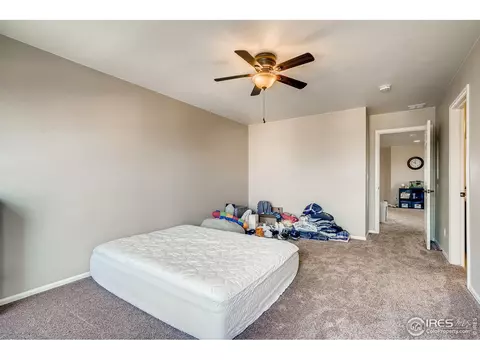 5990 Graphite St, Timnath, CO 80547 photo 28
