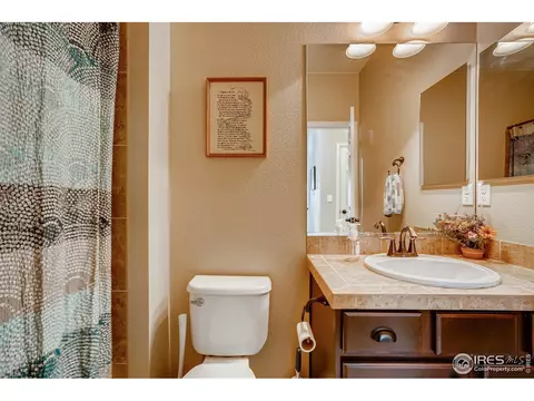 5990 Graphite St, Timnath, CO 80547 photo 17