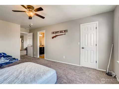5990 Graphite St, Timnath, CO 80547 photo 25