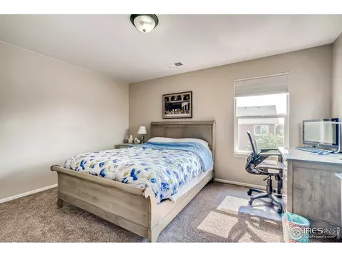 5990 Graphite St, Timnath, CO 80547 photo 33