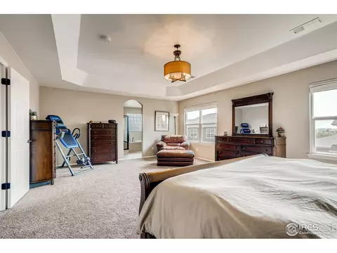 5990 Graphite St, Timnath, CO 80547 photo 20