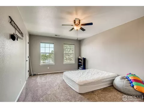 5990 Graphite St, Timnath, CO 80547 photo 27