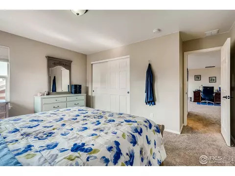 5990 Graphite St, Timnath, CO 80547 photo 29