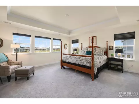 7044 Thunderview Dr, Timnath, CO 80547 photo 13