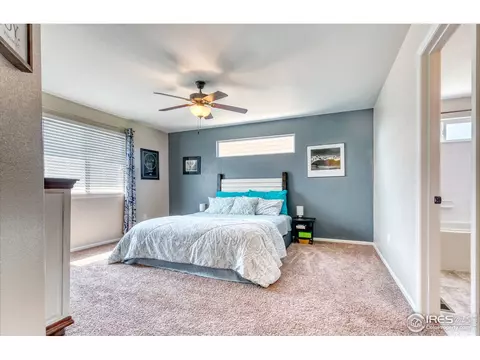 765 Lakebrook Ct, Windsor, CO 80550 photo 10