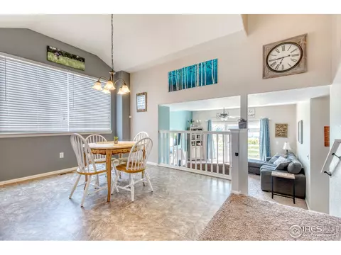 765 Lakebrook Ct, Windsor, CO 80550 photo 6