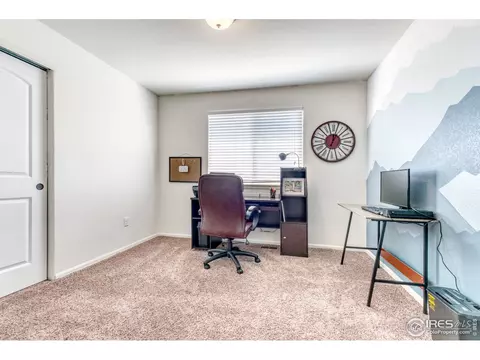 765 Lakebrook Ct, Windsor, CO 80550 photo 14
