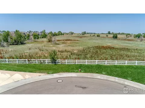 765 Lakebrook Ct, Windsor, CO 80550 photo 18