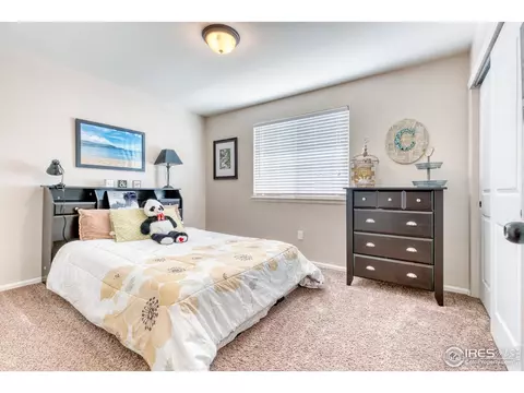 765 Lakebrook Ct, Windsor, CO 80550 photo 13