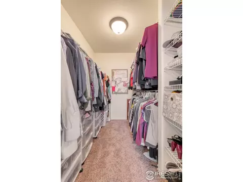 765 Lakebrook Ct, Windsor, CO 80550 photo 12