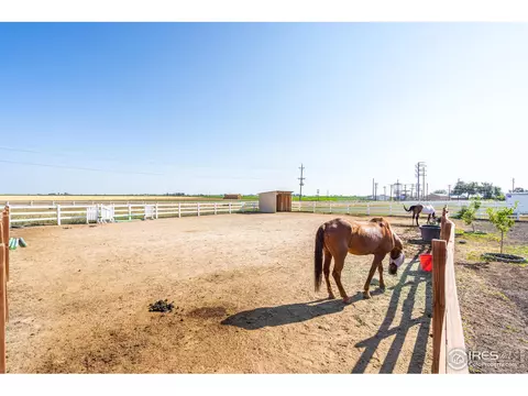 40779 Jade Dr, Ault, CO 80610 photo 28