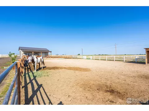 40779 Jade Dr, Ault, CO 80610 photo 29