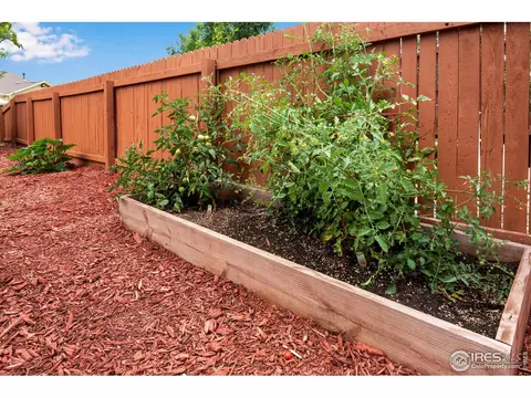1552 Edenbridge Dr, Windsor, CO 80550 photo 38