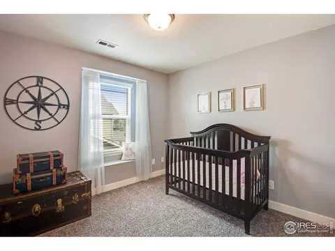 1552 Edenbridge Dr, Windsor, CO 80550 photo 26