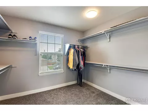 1552 Edenbridge Dr, Windsor, CO 80550 photo 25
