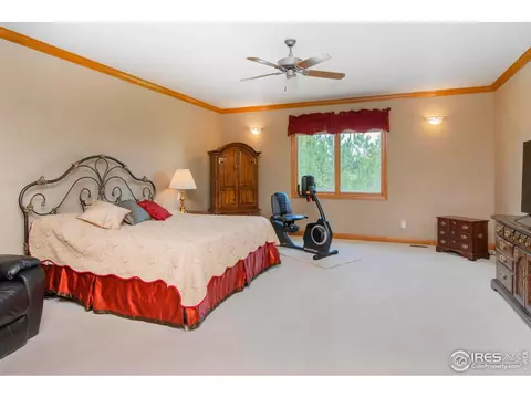 1364 Hilltop Dr, Windsor, CO 80550 photo 18