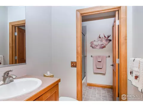 1364 Hilltop Dr, Windsor, CO 80550 photo 31