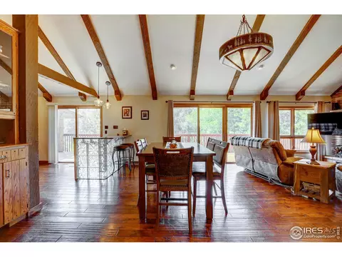 64 Seminole Ct, Lyons, CO 80540 photo 12