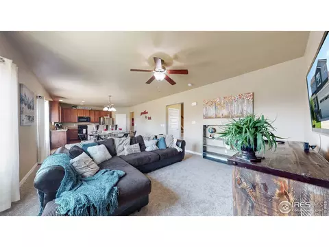 1793 Valley Brook Ln, Severance, CO 80550 photo 8