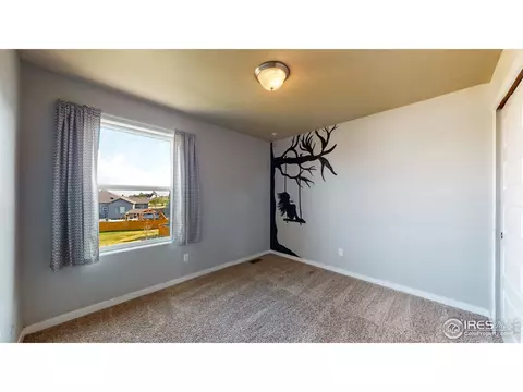 1793 Valley Brook Ln, Severance, CO 80550 photo 22