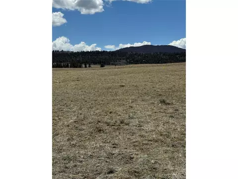 Ranch Rd, Hartsel, CO 80449 photo 3